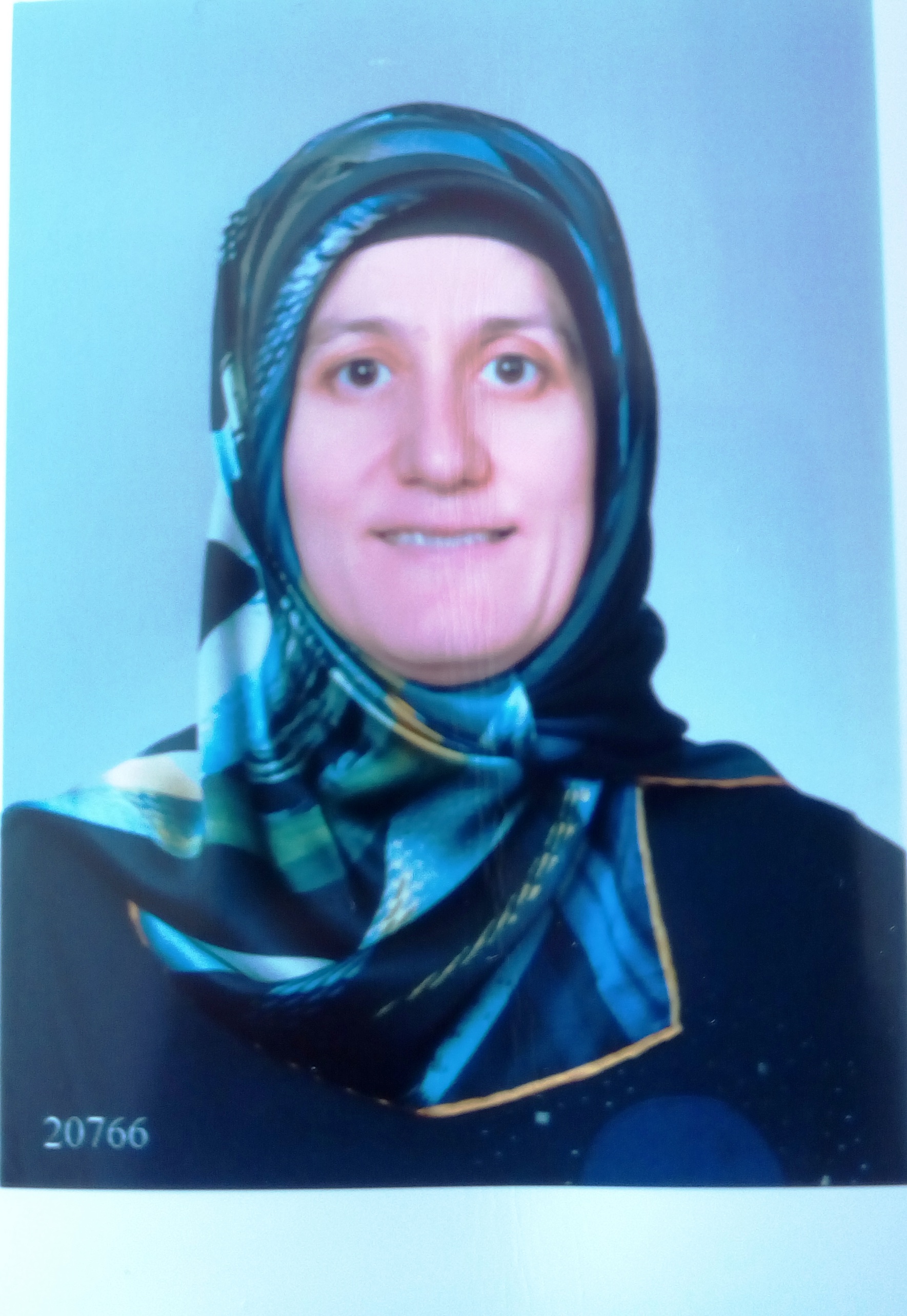 Hatice Ş. GÖKDEMİR