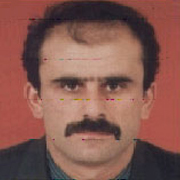 Mustafa TÜRKYILMAZ | Daimi İşçi